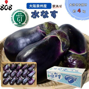 �y���������z�y����B�Y�z�󂠂� ���Ȃ� �傫�����C�� ���܍��� ��4kg(�k�C������ʓr�������Z)
