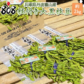 【送料無料】【兵庫県丹波篠山産】枝付き大黒枝豆　約2kg(北海道沖縄別途送料加算)