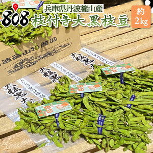 【送料無料】【兵庫県丹波篠山産】枝付き大黒枝豆 約2kg(北海道沖縄別途送料加算)