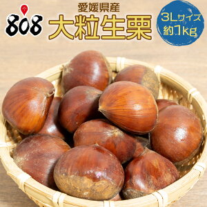 y2kgȏゲwőzyQYz嗱I 3LTCY 1kgy1kǧ䒍͕ʓrZz(kCʓrZ)