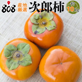 【送料無料】【産地厳選】訳あり 次郎柿　大きさおまかせ　約10kg(北海道沖縄別途送料加算)