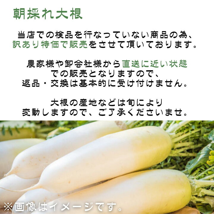 楽天市場】【送料無料】【産地厳選】朝採れ大根 大きさおまかせ 1箱 6 