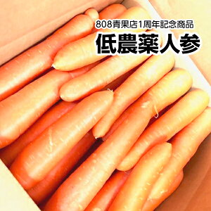 yzyYnIz󂠂@_lQ@傫܂ 5kg 9~10kg(kCʓrZ)