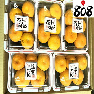 みかん 人気商品ランキング 価格 Com