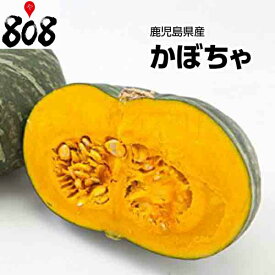 楽天市場 冬 かぼちゃ 野菜 きのこ 食品の通販 楽天市場 冬 かぼちゃ 野菜 きのこ 食品の通販