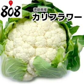 楽天市場 カリフラワー 産地 都道府県 徳島 その他野菜 野菜 きのこ 食品の通販