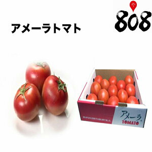 高糖度 アメーラ トマトの通販 価格比較 価格 Com
