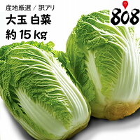 ������̵���ۡڻ��ϸ�����������1Ȣ6��������15kg(�̳�ƻ�������������û�)�Ϥ�����/�����/��ʪ/��Ϸ����/�����/��ʪ/������/����/�����/