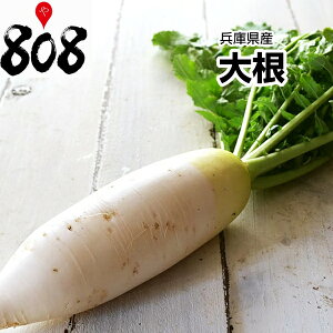 yzy{Yz󂠂@̂卪@1@2L`4LTCY@6{`8{ (kCʓrZ)ؑz/̓/̓/L/A/P/卪/ؑz//_CR//h