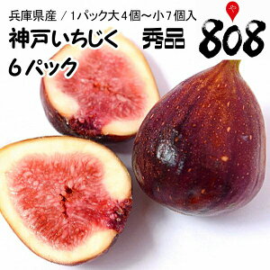 イチジク 生 フルーツの人気商品 通販 価格比較 価格 Com