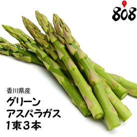 楽天市場 アスパラガス 種類 アスパラガス グリーンアスパラガス 野菜 きのこ 食品 の通販
