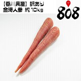 ������̵���ۡڤ����ڡۡڹ������������ ����ͻ� ��10kg(�̳�ƻ�������������û�)��ͭ/������/������/�辰����/�ˤ󤸤�/�˥󥸥�/���塼��/���ࡼ����/