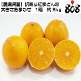 ������̵���ۡڰ�ɲ������������Ȥޤɤ�ʡ��礭�����ޤ�����1Ȣ����5kg (�̳�ƻ�������������û�)�֥��ɤߤ���/������/��ͭ/������/������/�辰����/�ߥ���/̪��/�˴�/������/������/���꡼/���ꥸ�ʥ��ʼ�/���ޥ��륫�å�/����/������/����/���ʼ�