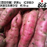 ������̵���ۡ������ܻ��������ꡡ�ȤϤ뤫���礭�����ޤ�������5kg(�̳�ƻ�������������û�)�٤ˤϤ뤫/�Ƥ���/��ʪ/���Ĥް�/���Ĥޤ���/���ĥޥ���/���ĥް�/�����/�������ȥݥƥ�/��ۻ�/������/����/������Ȥ�/��ͭ/������/������/�辰����/�Ť�/��������/���ۻ�