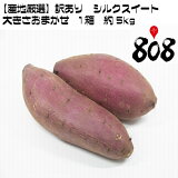 ������̵���ۡڻ��ϸ����������ꡡ���륯�������ȡ��礭�����ޤ�����1Ȣ����5kg(�̳�ƻ�������������û�)���ʼ�/�Ƥ���/��ʪ/���Ĥް�/���Ĥޤ���/���ĥޥ���/���ĥް�/�����/�������ȥݥƥ�/��ۻ�/������/����/������Ȥ�/��������/���ۻ�/������/����/������