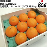 ������̵���ۡڰ�ɲ�����۽��� �Ȥޤɤ�� ����Ȣ�� 3L��4L������  ��3kg (�̳�ƻ�������������û�)�֥��ɤߤ���/������/�Τ�/��åԥ�/��/�ߥ���/̪��/�˴�/���渵/���渵/��Ϸ����/������/������/���꡼/���ꥸ�ʥ��ʼ�/���ޥ��륫�å�/����/���ʼ�/����/������