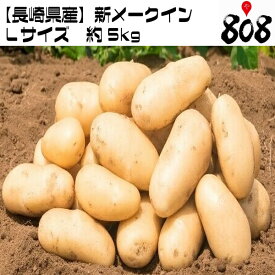 【送料無料】【あす楽】【長崎県産】新メークイン　Lサイズ　約5kg(北海道沖縄別途送料加算)メイクイーン/じゃがいも/ジャガイモ/じゃが芋/ジャガ芋/ばれいしょ/馬鈴薯/バレイショ/ホッカイコガネ/北海こがね/黄金メーク/業務用/新じゃが/敬老の日