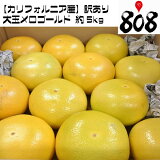 ������̵���ۡڤ����ڡۡڥ���ե���˥����������� ��̥��������� ��5kg(�̳�ƻ�������������û�)���졼�ץե롼��/��ͭ/������/������/�辰����/����/���ե�/����/��åԥ󥰲�/������/����