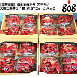 ������̵���ۡ�ʡ����������¿���ޤ��� ��·���礭�����ޤ��� 1Ȣ ��270g��4�ѥå�(�̳�ƻ�������������û�)������/������/�Ų�/��/��ͭ/������/������/�辰����/������/����/��Ϸ����/���ʼ�/