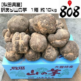 【送料無料】【秋田県産】訳あり　山の芋　1箱 約10kg(北海道沖縄別途送料加算)やまのいも/山のイモ/山のいも/中元/お中元/土物/お歳暮/歳暮/高品質/お正月/正月/業務用/敬老の日/おせち/とろろご飯