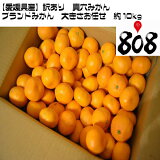 ������̵���ۡڰ�ɲ�����������ꡡ����ߤ��󡡥֥��ɤߤ����礭����Ǥ����1Ȣ ��10kg(�̳�ƻ�������������û�)������/�֥��ɤߤ���/������/�ߥ���/̪��/�˴�/������/������/���꡼/���ꥸ�ʥ�/����/�����ߤ���/���ʼ�/����/���󥵡��Ѥ�/��ͭ/������