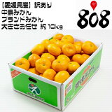 ������̵���ۡڰ�ɲ������������ ����ߤ��� �礭����Ǥ��  ��10kg (�̳�ƻ�������������û�)�֥��ɤߤ���/������/�Τ�/��åԥ�/��/�ߥ���/̪��/�˴�/���渵/���渵/��Ϸ����/������/������/���꡼/���ꥸ�ʥ��ʼ�/���ޥ��륫�å�/����/�ʤ�����/��ͭ/������