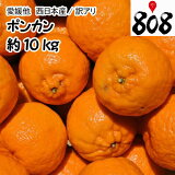 ������̵���ۡ������ܻ��������� �ݥ󥫥� �礭�����ޤ��� ��10kg(�̳�ƻ�������������û�)�ݤ󤫤�/�ߤ���/�ߥ���/̪��/��ͭ/������/������/�辰����/���ʼ�/���ե�/������/����/������/���塼��/���ࡼ����/�����/������/���ե�/����/��åԥ�/��������/�ߤΤ�����