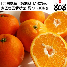 【送料無料】【西日本産】訳あり いよかん 大きさおまかせ 約9〜10kg(北海道沖縄別途送料加算)