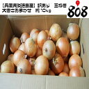 【送料無料】【兵庫県淡路島産】訳あり 玉ねぎ 大きさおまかせ 約10kg(北海道沖縄別途送料加算)産地直送仕入れ/あわじしま/淡路島/お土産/たまねぎ/タマネギ...