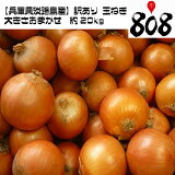 ������̵���ۡ�ʼ�˸�øϩ�绺�������ꡡøϩ�̤ͤ����礭�����ޤ�������20kg(�̳�ƻ�������������û�)����ľ��������/���露����/øϩ��/���ڻ�/���ޤͤ�/���ޥͥ�/��Ǭ/�̥ͥ�/�����/������/�渵/��ͭ/������/������/�辰����/