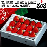 ������̵���ۡڹ�����ۤ��̤��Ҥ� ������ 1Ȣ 15��20γ ����Ȣ��(�̳�ƻ�������������û�)������/���ե�/£��/������/��/�Х�󥿥���/���渵/�Τ�/��åԥ�/��/�����/�����/�ץ쥼���/�ե롼��/��������/�����/���渵/������/����/��ǯ��/��Ϸ����