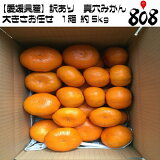 ������̵���ۡڰ�ɲ�����������꿿��ߤ���֥��ɤߤ����礭����Ǥ��1Ȣ��5kg(�̳�ƻ�������������û�)������/�֥��ɤߤ���/������/�ߥ���/̪��/�˴�/������/������/���꡼/���ꥸ�ʥ�/����/�����ߤ���/���ʼ�/����/���󥵡��Ѥ�/��ͭ/������