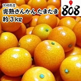 ������̵���ۡڤ����ڡۡڵܺ긩������̤��ޤ��ޥ��󥫥�3L��������3kg(�̳�ƻ�������������û�)�ǹ��֥��ɤζⴻ/�ۥ磻�ȥǡ�/���ؽ�/´�Ƚ�/�Τ�/��åԥ�/��/���󤫤�/���ޥ���/�ե롼��/��ʪ/���/���ʼ�/������/���/����/�ӥ��ߥ�C/