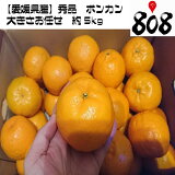 ������̵���ۡڰ�ɲ�����۽��ʥݥ󥫥��礭�����ޤ�����5kg(�̳�ƻ�������������û�)�ݤ󤫤�/�ߤ���/�ߥ���/̪��/���奦�ҥ�/���ʼ�/���ե�/������/����/������/���塼��/���ࡼ����/�����/������/���ե�/����/��åԥ�/��������/�ߤΤ�����