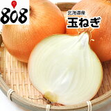 �ڤ����ڡۡ�����̵���ۡ��̳�ƻ���۶̤ͤ����̥���������10kg(�̳�ƻ�������������û�)�̥ͥ�/���ޤͤ�/���ޥͥ�/��Ǭ/�����/������/��Ϸ����/������/����/���ʼ�