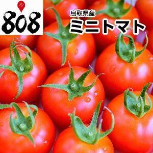 ミニトマト パック 食品の人気商品 通販 価格比較 価格 Com