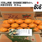 ������̵���ۡ��²λ������۱�������μ���ߤ����礭����Ǥ����5kg�֥��ɤߤ���ͭ�����ݤߤ���(�̳�ƻ�������������û�)����/�ߤ���/�ߥ���/̪��/���塼��/���ࡼ����/������/�����󥵡�/ͽ��/��ǽ/����/����/���ָ���/���ե�/����/��åԥ�/��ľ/�����󥵡�