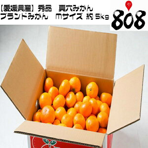 みかん 箱 5kgの通販 価格比較 価格 Com みかん 箱 5kgの通販 価格比較 価格 Com