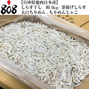 しらす 1kgの人気商品 通販 価格比較 価格 Com しらす 1kgの人気商品 通販 価格比較 価格 Com