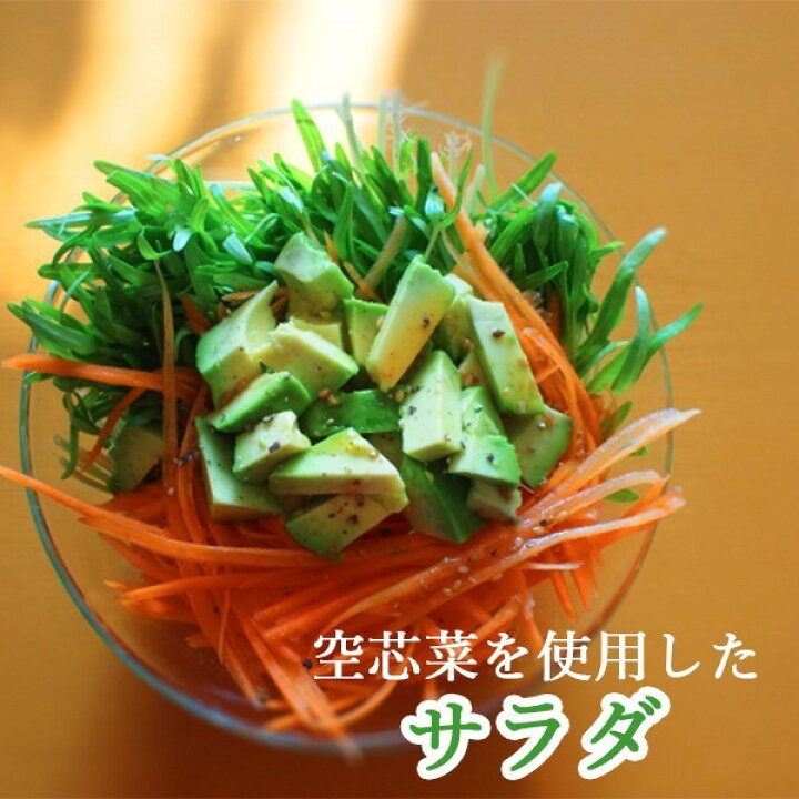 楽天市場】【送料別】【愛知県/岐阜県産】空心菜 くうしんさい 空芯菜 1パック 約100g【野菜詰め合わせセットと同梱で送料無料】【送料は注文後に個数によって変動】 : 808青果店