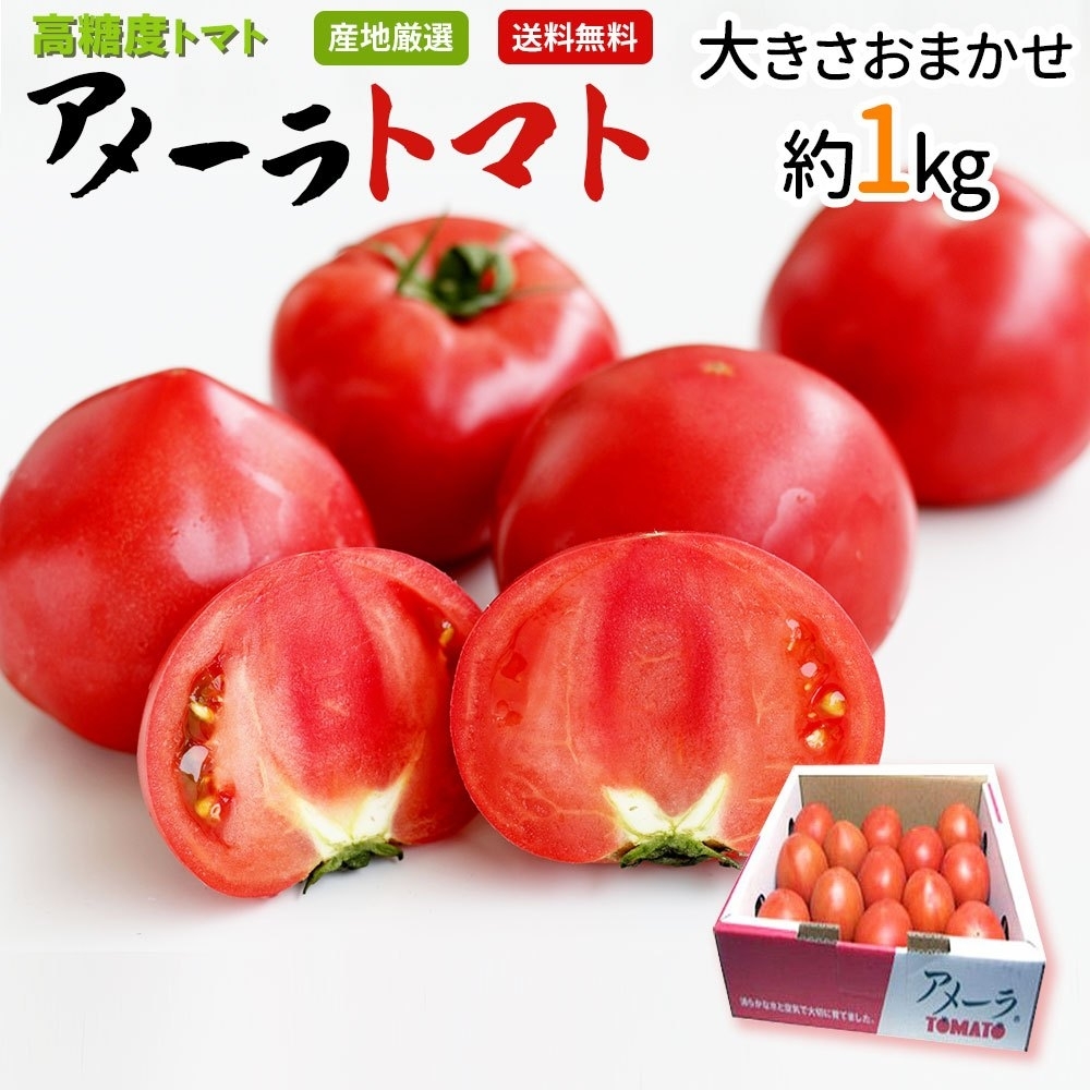 【信頼】 63％以上節約 各種コンテストで1位の実力 甘み 酸味 味の濃さと全てを兼ねそろえた美味しいトマトです フルーツトマト リコピン ジュース とってもあま～い 高糖度 アメーラトマト 大きさお任せ 1箱 約1kg 北海道沖縄別途送料加算 vfb08luenen.de vfb08luenen.de