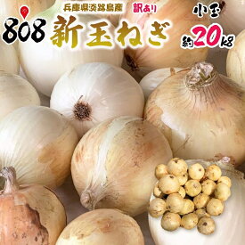 【送料無料】【兵庫県淡路島産】訳あり新玉ねぎ　小玉　約20kg(北海道沖縄別途送料加算)