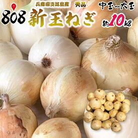 【送料無料】【兵庫県淡路島産】秀品　新玉ねぎ　中玉〜大玉　約10kg(北海道沖縄別途送料加算)