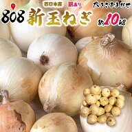 【送料無料】【西日本産】訳あり　新玉ねぎ　大きさおまかせ　約10kg(北海道沖縄別途送料加算)