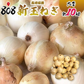 【送料無料】【長崎県産】新玉ねぎ 大玉 約10kg(北海道沖縄別途送料加算)