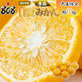 【送料無料】【愛媛県産】秀品　甘夏みかん　大玉限定　約10kg(北海道沖縄別途送料加算)