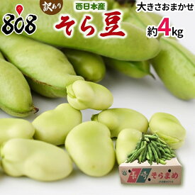 【送料無料】【長崎県産ほか西日本産】そら豆　大きさおまかせ　約4kg(北海道沖縄別途送料加算)