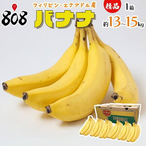 【送料無料】【産地厳選】ハンドバナナチキータバナナプレシャスバナナ 甘熟王 他 濃味バナナ 精品 1箱 約13〜15kg(北海道沖縄別途送料加算)