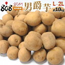 【送料無料】【産地厳選】男爵芋　L〜2Lサイズ 　1箱　約10kg(北海道沖縄別途送料加算)
