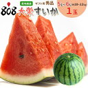 【送料無料】【鳥取県産】秀品　大栄すいか　特大5L〜6Lサイズ　1玉　約10〜12kg(北海道沖縄別途送料加算)